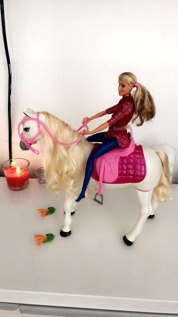 barbie and her dream horse